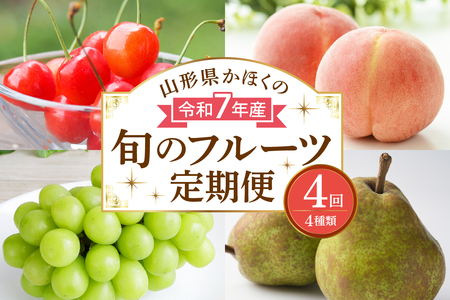 [計4回お届け(さくらんぼ入り)]令和7年産 山形県かほくの旬のフルーツ定期便[かほくらし社](さくらんぼ 紅秀峰 桃 白桃 シャインマスカット 洋梨 ラフランス 定期便 フルーツ 果物 山形県 河北町)