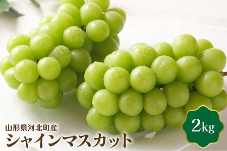 [令和7年産]シャインマスカット 2kg 山形県河北町産[JAさがえ西村山] (国産 マスカット 緑 ぶどう ブドウ 葡萄 常温便 フルーツ 果物 果肉 青果 お取り寄せ 東北 山形県 河北町 [JAさがえ西村山])