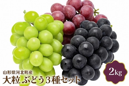 [令和7年産]大粒ぶどう3種セット 2kg 山形県河北町産[JAさがえ西村山] (大粒 ぶどう 3種 セット 2kg 国産 マスカット 緑 赤 黒 ブドウ 葡萄 常温便 フルーツ 果物 果肉 青果 お取り寄せ 東北 山形県 河北町 [JAさがえ西村山])