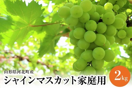 [令和7年産]ご家庭用シャインマスカット 2kg 山形県河北町産[JAさがえ西村山]