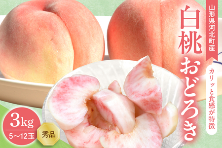 [令和7年産]白桃 おどろき 3kg(5〜12玉前後) ギフト用 山形県河北町産 [山形eLab]ka074-015