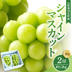 [令和7年産] ぶどう シャインマスカット 2房入り(1房600g前後) 秀品 山形県河北町産[山形eLab]ka074-023
