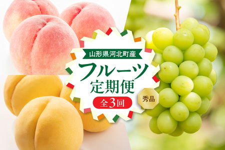 [令和7年産]8月から人気フルーツをお届け!お取り寄せフルーツ定期便 3回(白桃・黄桃・シャインマスカット)[山形eLab]