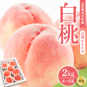 [令和7年産]白桃 品種おまかせ 2kg (6〜8玉前後) ギフト箱入 秀品 山形県河北町産 [山形eLab]