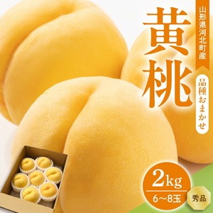 [令和7年産]黄桃 品種おまかせ 2kg (6~8玉前後) ギフト箱入 秀品 山形県産 [山形eLab]