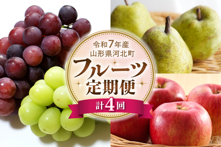 [令和7年産]山形県河北町産 フルーツ4回定期便[米COMEかほく協同組合] 大粒ぶどう シャインマスカット ピオーネ こうとく ラ・フランス ふじりんご 贈答 果物 旬 秋果実 間に合う 定期便 ka024-073e-r7