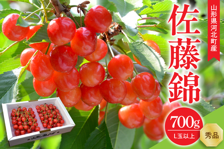 yߘa8NYz  700g(350g×2pbN) Lʈȏ Mtg Gi R`YyR`eLabzt[c lC  ӂ邳Ɣ[ ͖k 2026NY ka074-033