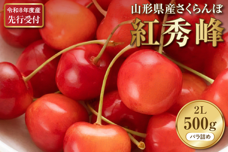 y2026NYs\zڍgG Gȏ 2L 500gȏ(500gol×1pbN)R`͖kYyVz  R` ӂ邳Ɣ[ 嗱 gG  Mtg ka073-010