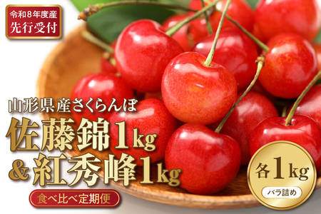 [2026年産先行予約]さくらんぼ食べ比べ2回定期便 「佐藤錦」と「紅秀峰」 各1kg(500g×2) 山形県河北町産 [晴天畑] さくらんぼ 贈答 ギフト 秀品 先行予約 食べ比べ 令和8年産 ka073-011
