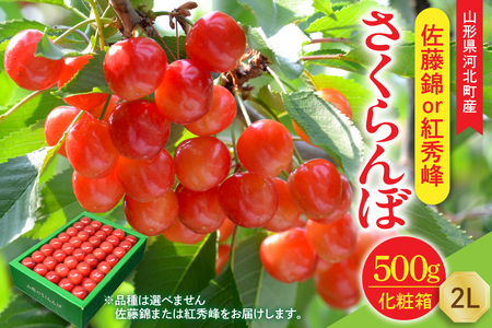 [令和8年産]さくらんぼ 佐藤錦or紅秀峰 500g 2L玉 手詰め 特秀品 化粧箱入 山形県河北町産 [山形eLab