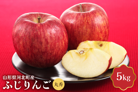 [令和8年産]ふじりんご 5kg 丸秀 山形県産 [JAさがえ西村山] 山形県 河北町 贈答 ふじ 農協 りんご 林檎 ギフト ka008-018e-r8