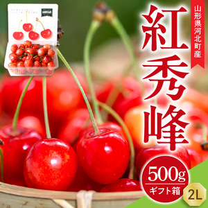 [令和8年産 先行受付]朝採り!さくらんぼ 紅秀峰 500g 2L玉 ギフト箱入 秀品 山形県河北町産 [山形eLab]