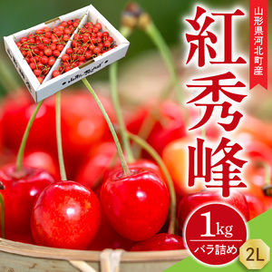 [令和8年産 先行受付]朝採り!さくらんぼ 紅秀峰 1kg バラ詰め L玉以上 ギフト箱入 秀品 山形県河北町産 [山形eLab]
