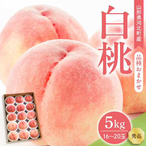 桃 白桃 5kg 品種おまかせ 令和8年産 山形県産 桃 フルーツ