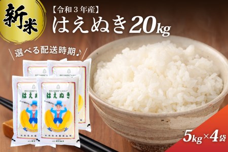 中米】令和3年 山形県庄内産 中粒米 白米20kg