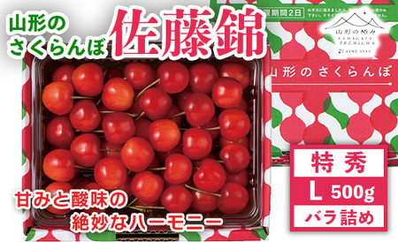 FYN9-912 贈答用 山形県産 さくらんぼ 佐藤錦 500g 特秀 L バラ詰め 2025年6月中旬から順次発送 果物 くだもの フルーツ 果実 チェリー 桜桃 贈答 贈り物 ギフト プレゼント ギフト箱 期間限定 産地直送 山形県 西川町 月山