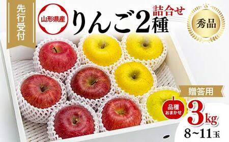 FYN9-966 ≪先行予約≫ 贈答用 2024年 山形県産 りんご 品種おまかせ 2種詰合せ 秀品 3kg(8〜11玉)2024年10月中旬から順次発送 2色 赤・黄 食べ比べ セット フルーツ 果物 りんご リンゴ 山形県 西川町 月山