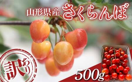 FYN6-050 ≪2026年先行予約≫加工用 山形県 品種おまかせ さくらんぼ 500g バラパック 2026年6月上旬頃から順次発送 果物 くだもの フルーツ 夏果物 サクランボ チェリー 訳あり ご自宅用 ご家庭 農業者支援品 農家支援品 山形県 西川町 月山