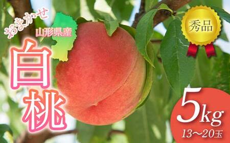 FYN6-061 ≪2025年先行予約≫贈答用 山形県産 おまかせ 白桃 5kg(13～20玉) 秀品 2025年8月下旬から順次発送 柔らかくなる桃 夏果実 果実 果物 くだもの フルーツ 桃 もも ピーチ 化粧箱 贈答 ギフト プレゼント 産地直送 山形県 西川町 月山