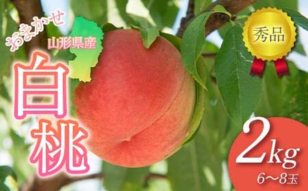 FYN6-062 ≪2025年先行予約≫贈答用 山形県産 おまかせ 白桃 2kg(6～8玉)秀品 2025年8月下旬から順次発送 柔らかくなる桃 夏果実 果実 果物 くだもの フルーツ 桃 もも ピーチ 化粧箱 贈答 ギフト プレゼント 産地直送 山形県 西川町 月山