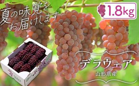 FYN6-064 ≪2025年先行予約≫山形県産 デラウェア 1.8kg(9〜16房) 秀品 2025年8月上旬から順次発送 種無し 小粒 食べやすい ぶどう ブドウ 葡萄 くだもの 果物 フルーツ 夏果実 箱入り 中元 贈り物 ギフト 自宅 家庭 産地直送 山形県 西川町 月山