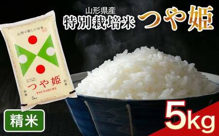 FYN6-161 令和6年度 山形県産 特別栽培米 つや姫 5kg 白米 精米 米米 米 ごはん ブランド米 特栽 つやひめ 2024年 贈答 贈り物 ギフト 自宅 家庭 山形県 西川町 月山