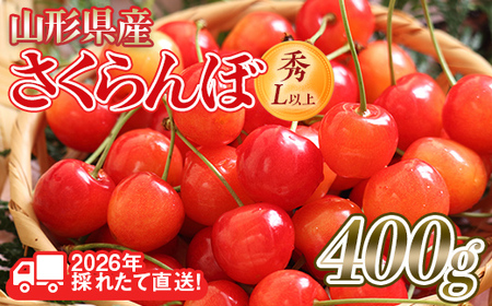 FYN6-252 2026Ns\R`Y  i킨܂(сEgGȂ) 400g G/Lȏ opbNl 2026N6{蔭 ʕ  t[c ĉʎ TN{ `F[