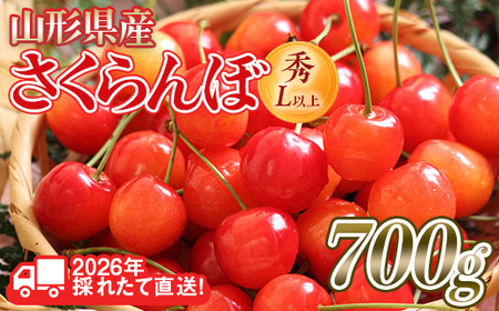 FYN6-255 2026Ns\R`Y  i킨܂(сEgGȂ) 700g(350g×2) G/Lȏ opbNl 2026N6{蔭 ʕ  t[c ĉʎ TN{ `