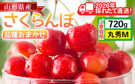FYN6-534 ≪2026年先行予約≫ご家庭用 山形県産 さくらんぼ 品種おまかせ(佐藤錦・紅秀峰など) 720g(180g×4P) 丸秀 M以上 フードパック詰め 2026年6月中旬頃より発送 果物 くだもの フルーツ サクランボ チェリー 家庭用 自宅 産地直送 山形県 西川町 月山
