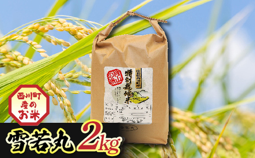 FYN6-552 令和7年度 山形県西川町産 雪若丸 2kg 精米 白米 ブランド米 米 ご飯 ごはん 自宅用 家庭用