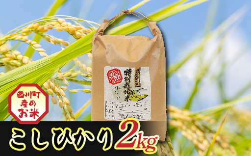 FYN6-554 令和7年度 山形県西川町産 こしひかり 2kg 精米 白米 ブランド米 米 ご飯 ごはん 自宅用 家庭用