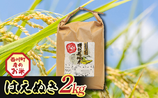 FYN6-556 令和7年度 山形県西川町産 はえぬき 2kg 精米 白米 ブランド米 米 ご飯 ごはん 自宅用 家庭用