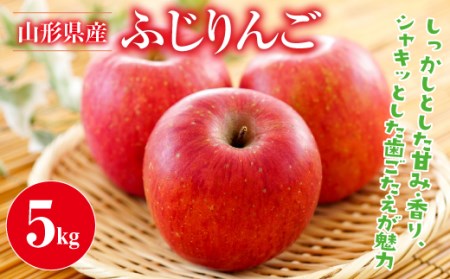 FYN9-385 【数量限定】《先行予約》山形県産 ふじりんご 5kg 2023年11月中旬より発送 りんご リンゴ 林檎 山形県 西川町