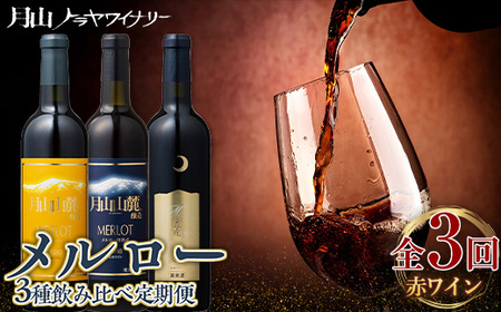 FYN9-774 [月山トラヤワイナリー] メルロー 赤ワイン 3種 飲み比べ 定期便 3回 赤ワイン 山形 西川町 酒