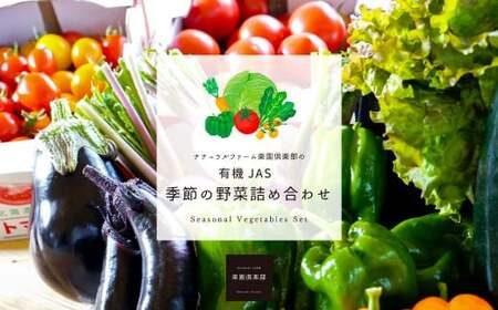 [有機JAS認定][2ヶ月隔月定期便] 季節の野菜詰め合わせ 〜有機野菜セットB〜 15種類〜18種類 季節 野菜 野菜セット 有機野菜 有機 詰め合わせ セット