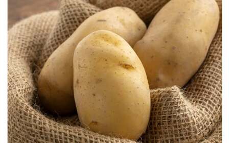 Ⴊi[NCj 10kg y2025N9{`2026N1{z Ⴊ WKC [NC  kC kLs