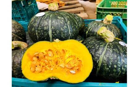 ڂi݂₱j 4 6kg y2025N10{`2026N1{\z ڂ J{` ݂₱  kC kLs