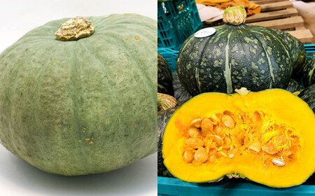 ڂHה i݂₱Eቻρj 2 3kg y2025N10{`2026N1{\z ڂ J{` Hה ݂₱ ቻ  kC kLs