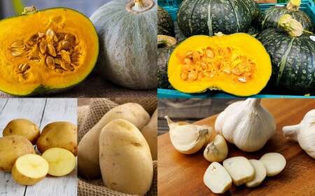 ؃Zbg y2025N10{`2026N1{\z ڂ J{` WKC Ⴊ ɂɂ Zbg  kC kLs