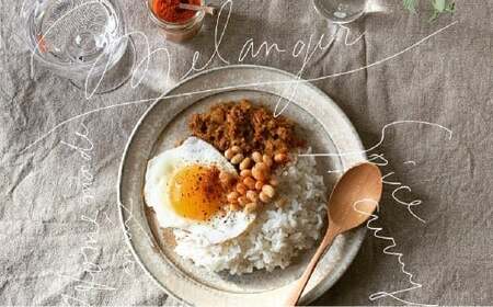 キーマカレー スパイス キット 4人分×2個 (88g×2個) 合計8人分セット (合計176g) / レシピ付き キーマ カレー 手作り 簡単調理 セット 北海道 北広島市 常温