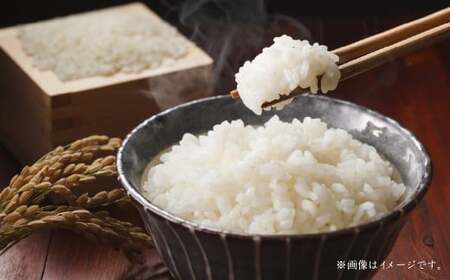 yߘa6NYzn씭˂̒n kLsY Ԗѕ5kg      R Pꌴ kC kCY   ͂ kC kLs