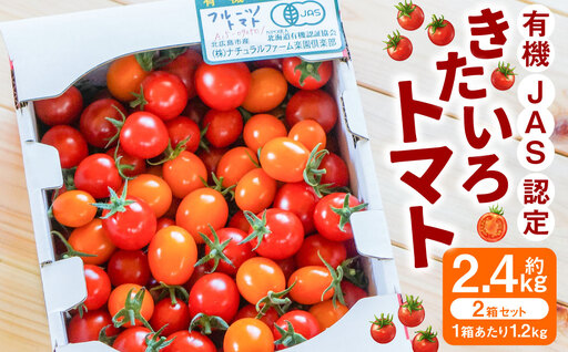 有機JAS認定 「きたいろトマト」 1.2kg×2箱 （2.4kg）【2026年7月下旬～9月下旬迄発送予定】 トマト とまと 食べ頃 野菜 やさい 有機 北海道