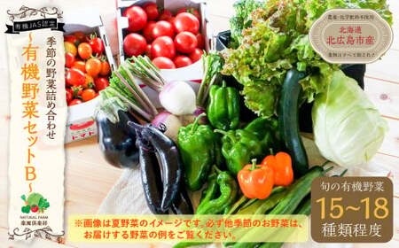 [有機JAS認定]季節の野菜 詰め合わせ 15種類〜18種類程度 〜有機野菜セットB〜 北海道北広島市