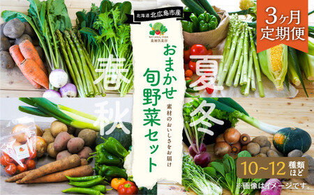 【3ヶ月定期便】おまかせ旬野菜セット 旬 野菜 セット 北海道 北広島市