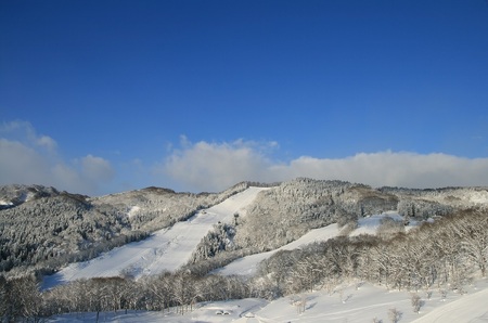 yAsahiRρzXm[p[N tg1 2025-2026V[Y XL[tg R`  X|[c XL[ XL[ꃊtg XL[ Xm{