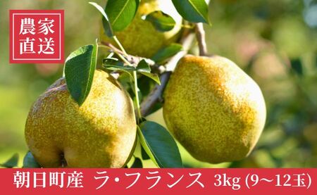ラ・フランス 洋梨 3kg 9～12玉 秀品 【11月中旬発送】 農家直送 山形県 朝日町産 山形産 山形 特産 産地直送 果物 フルーツ ラフランス 秋