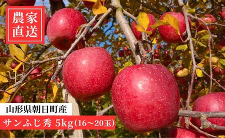 ＜ 先行予約 ＞ りんご サンふじ 秀 5kg 16～20玉 【2025年12月上旬発送】 農家直送 山形県 朝日町産 山形県産 特産 果物 フルーツ リンゴ 林檎 産地直送 秋 冬