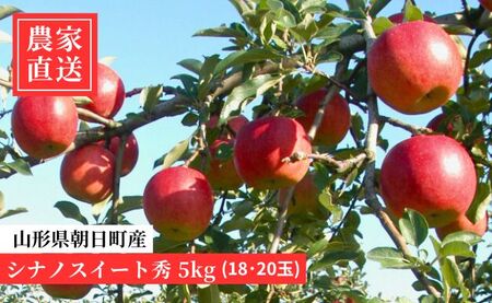 りんご シナノスイート 秀 5kg 16～20玉 農家直送 山形県 朝日町産 山形県産 果物 フルーツ リンゴ 林檎 秋 産地直送【10月上旬発送】
