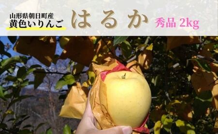  ͂邩 Gi 2kg y11{甭z R` Y R`Y Y ʕ t[c S ь H ~ s\
