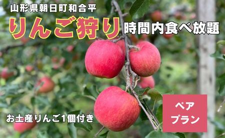 りんご狩り体験(ペアプラン) りんご 収穫体験 2名様 60分 食べ放題 お土産付き 山形県 朝日町